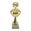 Diverse Pokal Duisburg Mit Deckel 27,5 Cm Gold