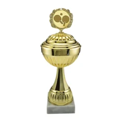 Diverse Pokal Duisburg Mit Deckel 27,5 Cm Gold
